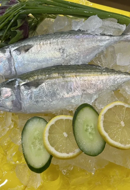 Fresh and Frozen Fish Fresh and Frozen Fish