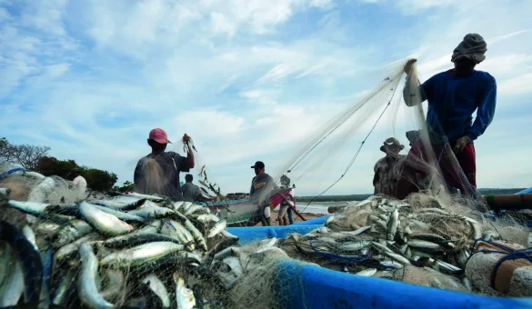 Hap Fatt 12 Hap Fatt 12