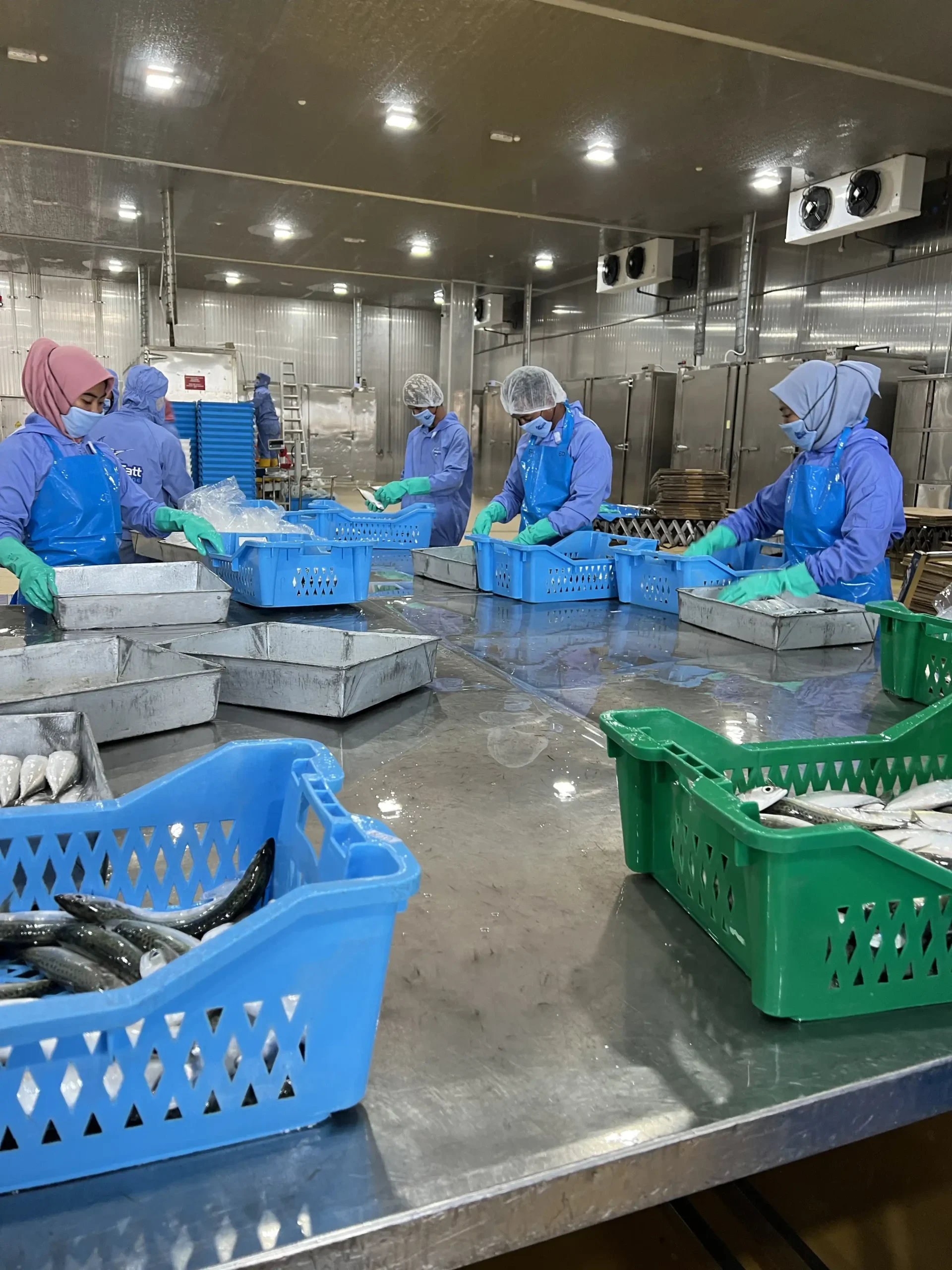 Hap Fatt 35 Hap Fatt 35