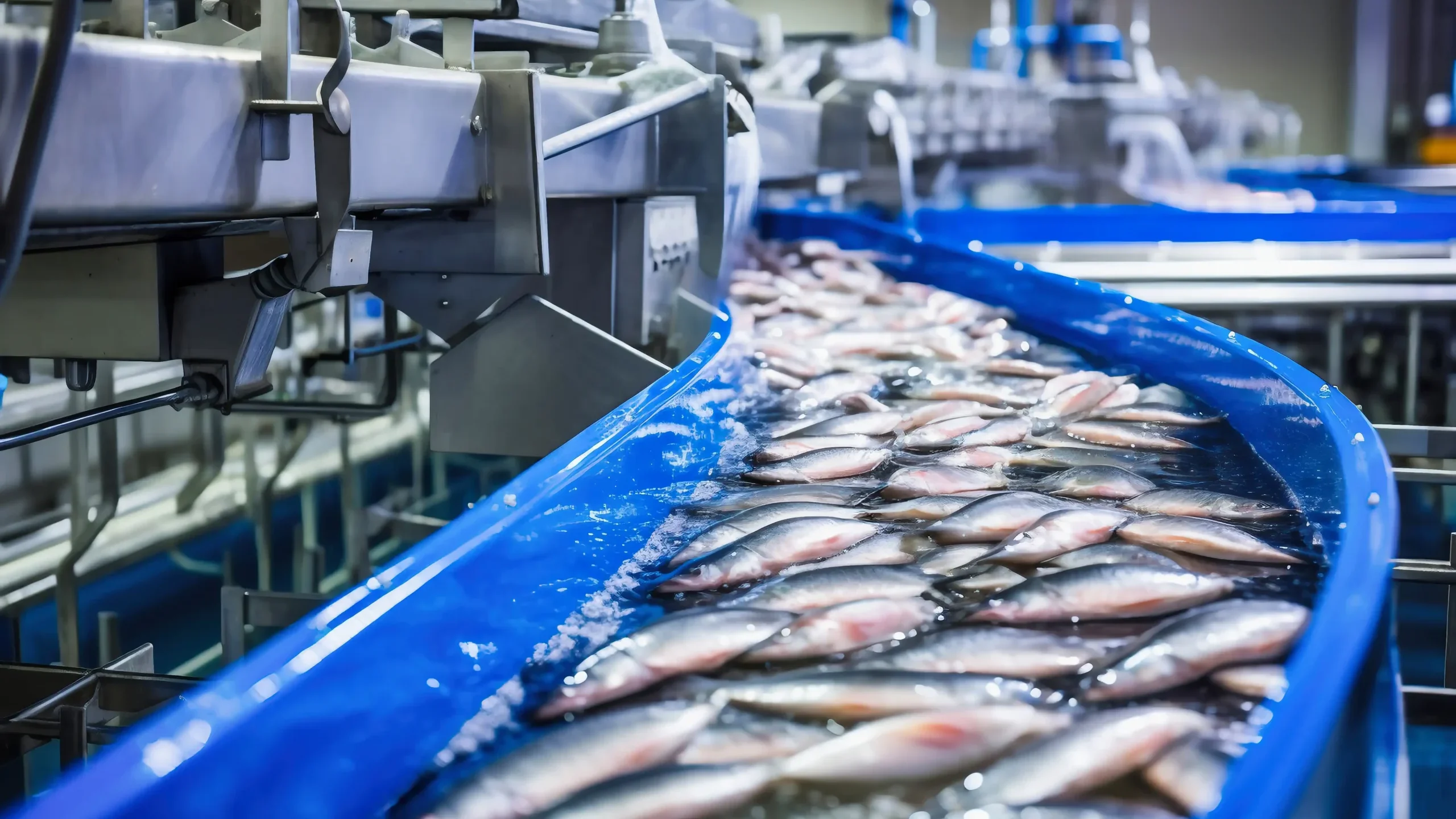 Hap Fatt 43 Hap Fatt 43