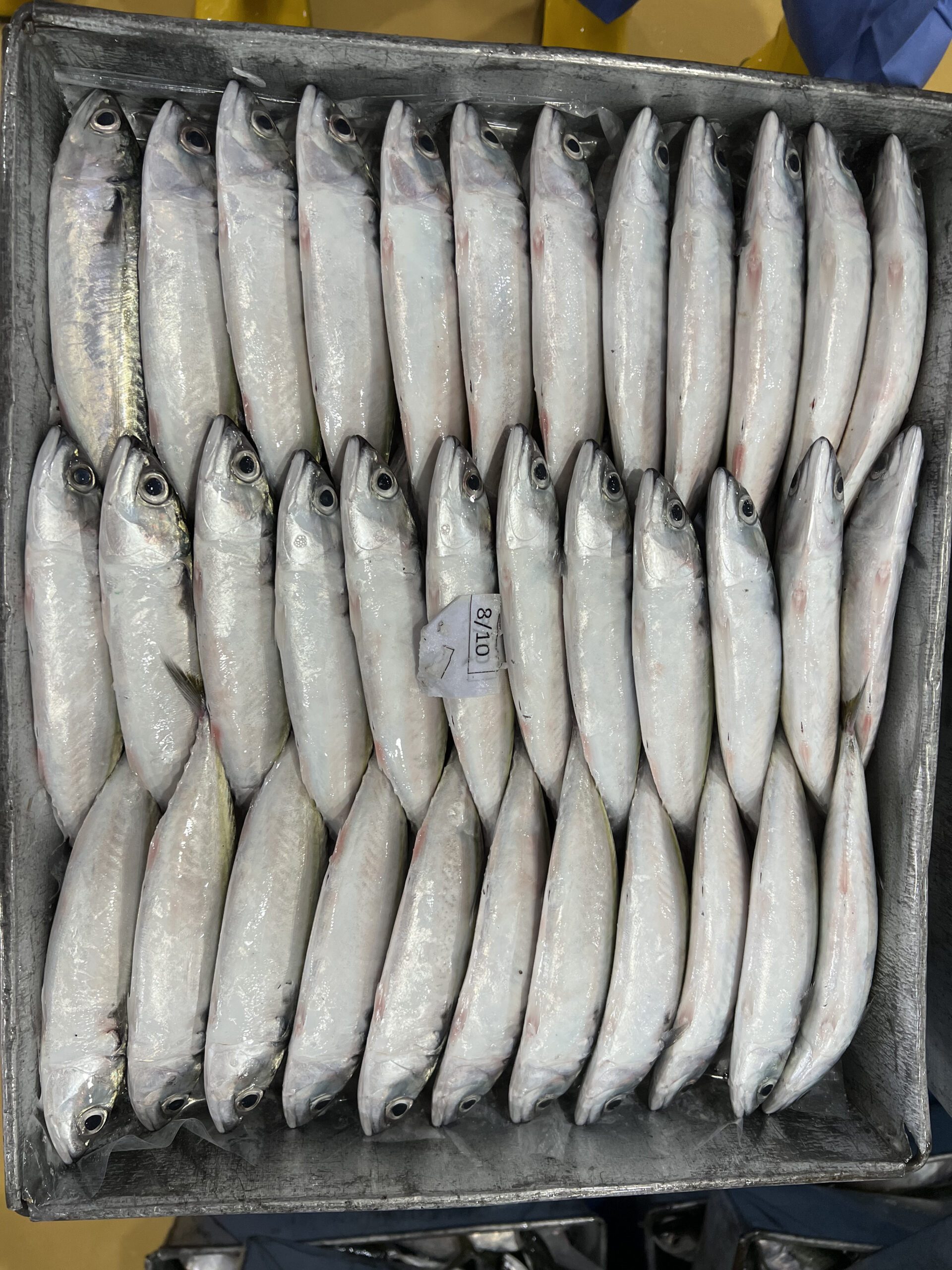 Hap Fatt 6 Hap Fatt 6