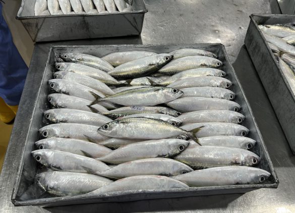 Hap Fatt 7 Hap Fatt 7