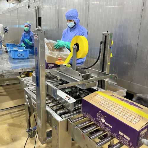 Hap Fatt 8 Hap Fatt 8